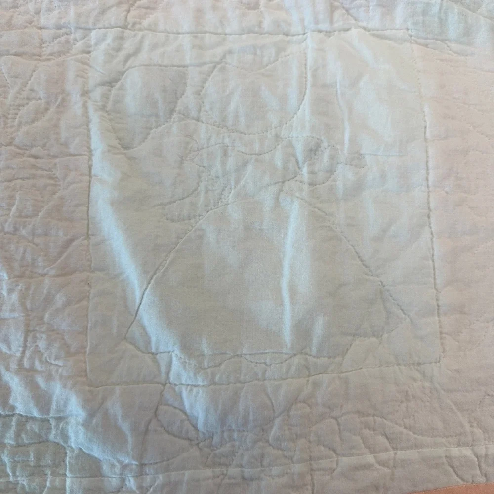 Vintage Sunbonnet Sue Applique Quilt Peach Green Floral Nursery Decor 38x38